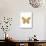 Gold Butterfly-Erin Clark-Giclee Print displayed on a wall