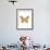 Gold Butterfly-Erin Clark-Framed Giclee Print displayed on a wall