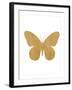 Gold Butterfly-Erin Clark-Framed Giclee Print