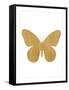 Gold Butterfly-Erin Clark-Framed Stretched Canvas
