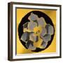 Gold Cactus III-null-Framed Art Print