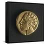 Gold Celtic Stater of Arverni-null-Framed Stretched Canvas