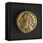 Gold Celtic Stater of Arverni-null-Framed Stretched Canvas