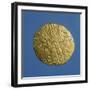 Gold Celtic Stater of Bellovaci-null-Framed Giclee Print