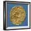 Gold Celtic Stater of Bellovaci-null-Framed Giclee Print