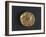 Gold Celtic Stater of Cenomani-null-Framed Giclee Print