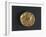 Gold Celtic Stater of Cenomani-null-Framed Giclee Print