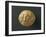 Gold Celtic Stater of Curiosoliti-null-Framed Giclee Print