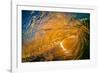 Gold Coast Glory-Inside looking out of a tubing wave at sunset-Mark A Johnson-Framed Photographic Print