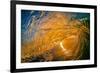 Gold Coast Glory-Inside looking out of a tubing wave at sunset-Mark A Johnson-Framed Photographic Print