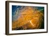 Gold Coast Glory-Inside looking out of a tubing wave at sunset-Mark A Johnson-Framed Photographic Print