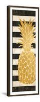Gold Coast Pineapple-Paul Brent-Framed Art Print