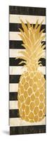 Gold Coast Pineapple-Paul Brent-Mounted Art Print
