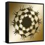 Gold Coffee 10-Art Deco Designs-Framed Stretched Canvas