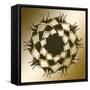 Gold Coffee 10-Art Deco Designs-Framed Stretched Canvas