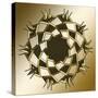 Gold Coffee 10-Art Deco Designs-Stretched Canvas