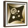 Gold Coffee 6-Art Deco Designs-Framed Giclee Print