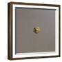 Gold Coin, Obverse-null-Framed Giclee Print