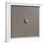 Gold Coin, Obverse-null-Framed Giclee Print