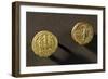 Gold Coins Depicting Eagle and Koson from Sarmizegetusa Regia, Romania-null-Framed Giclee Print