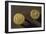 Gold Coins Depicting Eagle and Koson from Sarmizegetusa Regia, Romania-null-Framed Giclee Print