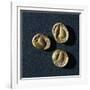 Gold Coins from Campiglia Marittima-null-Framed Giclee Print