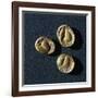 Gold Coins from Campiglia Marittima-null-Framed Giclee Print