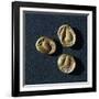 Gold Coins from Campiglia Marittima-null-Framed Giclee Print