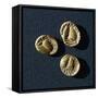 Gold Coins from Campiglia Marittima-null-Framed Stretched Canvas