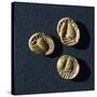 Gold Coins from Campiglia Marittima-null-Stretched Canvas