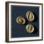 Gold Coins from Campiglia Marittima-null-Framed Giclee Print
