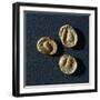 Gold Coins from Campiglia Marittima-null-Framed Giclee Print