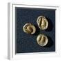 Gold Coins from Campiglia Marittima-null-Framed Giclee Print