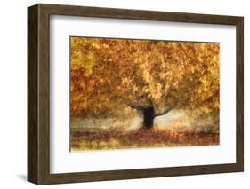 Gold colors-Nel Talen-Framed Photographic Print