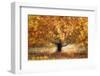 Gold colors-Nel Talen-Framed Photographic Print