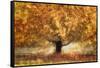 Gold colors-Nel Talen-Framed Stretched Canvas