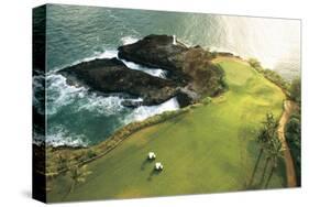 Gold Course On Hawaii Coast-null-Stretched Canvas