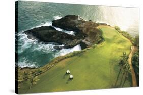 Gold Course On Hawaii Coast-null-Stretched Canvas