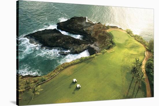 Gold Course On Hawaii Coast-null-Stretched Canvas