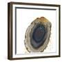 Gold Crown Agate-Nature’s Little Gems-Framed Giclee Print