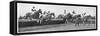 Gold Cup Day at Cheltenham, 1945-null-Framed Stretched Canvas