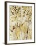 Gold Dawn Field I-Jodi Maas-Framed Giclee Print