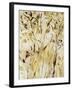 Gold Dawn Field I-Jodi Maas-Framed Giclee Print