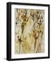 Gold Dawn Field II-Jodi Maas-Framed Giclee Print