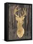 Gold Deer on Black-Patricia Pinto-Framed Stretched Canvas