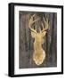 Gold Deer on Black-Patricia Pinto-Framed Art Print