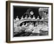 Brown Frame