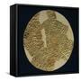 Gold Disk Showing a Figure of a Warrior Toltech Myth-null-Framed Stretched Canvas