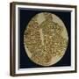 Gold Disk Showing a Figure of a Warrior Toltech Myth-null-Framed Giclee Print