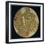 Gold Disk Showing a Figure of a Warrior Toltech Myth-null-Framed Giclee Print